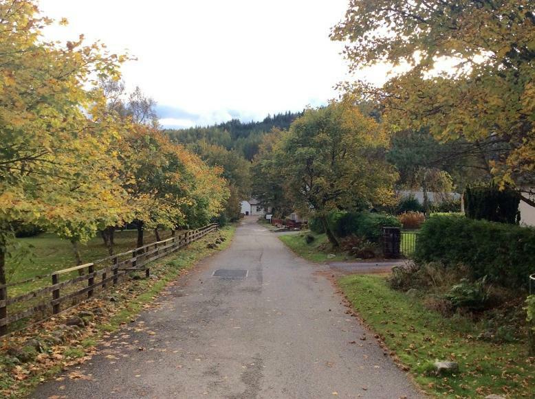 Dalkell Cottages 泰恩德拉姆 外观 照片